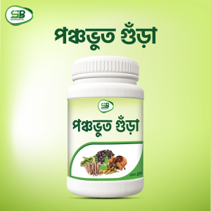 Ponchovut Powder (পঞ্চভূত গুঁড়া) 200gm
