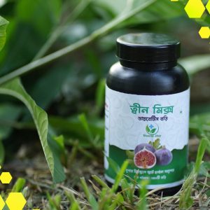 ত্বীন মিক্স ডায়াবেটিস ভরি সম্পূর্ণ কোর্স